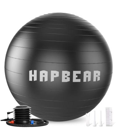 HAPBEAR Exercise Ball, 5 Sizes Yoga Ball for Stability Work Out, Large Birthing Ball for Pregnancy, Anti-Burst Swiss Balance Fitness Ball for Gym Office Physical Therapy Pilates, Quick Pump Included Black L (23-26inch / 58-65cm)