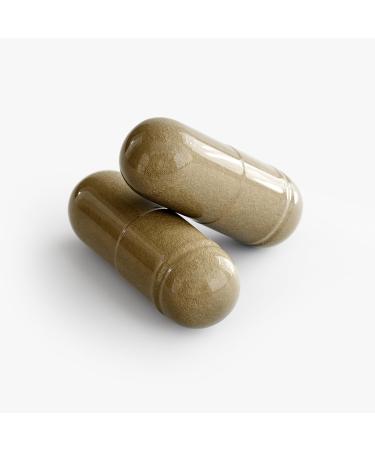 Minimo Nutrition Ginkgo Biloba + Ginseng 3rd Party Certified Supports Circulation Memory Cognitive Function 60 Capsules - Buy Online on GoSupps.com