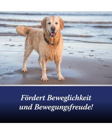 Canosept Joint Tablets for Dogs - Green Lipped Mussel & Glucosamine - Omega 3 Joint & Bone Protection - 20 Tablets for Osteoarthritis Relief - Buy Online on GoSupps.com