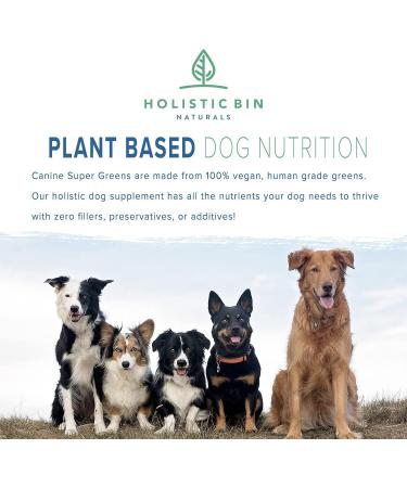 Buy Canine Super Greens by Holistic Bin | Vegan Dog Nutritional Supplement with Marine Phytoplankton Spirulina Chlorella & Fermented Barley Grass for Organic Skin & Coat Support 50g - Buy Online on GoSupps.com