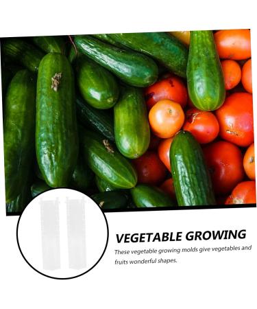 BCOATH 2pcs Melon and Fruit Shaping Mold Vegetables Pumpkin Shaping Mold Vegetable Growing Moulds Shaper - Buy Online on GoSupps.com