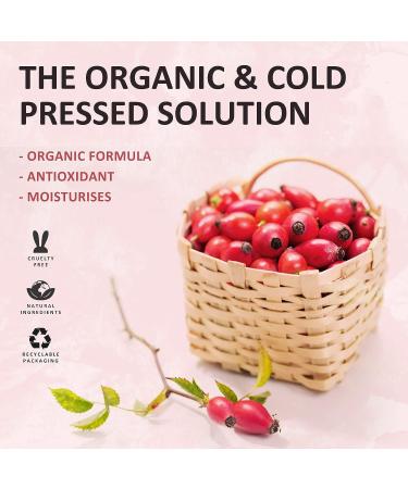 LANBENA 2 in 1 Jade Roller & Rosehip Oil Set for Face, Eye, Neck - Natural Rose Quartz Jade Roller Massager with Pure Rosehip Seed Oil for Wrinkle & Dark Circle Reduction - Buy Online on GoSupps.com