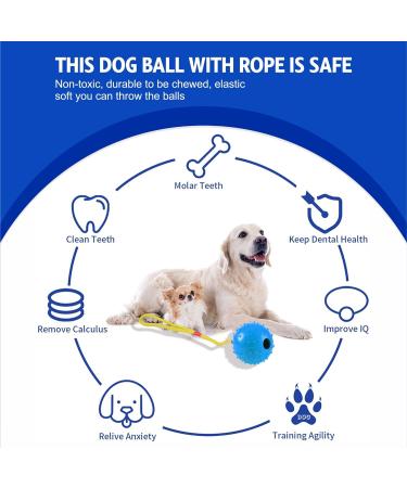 Ball On Rope Dog Toy Heavy Duty Pet Chew Rope Pimpled Ball Interactive Dog Pull & Tug Toy Studded Ball Tugger For All Dog Puppy Essentials Pet Accessories 40cm X 6.5cm Assorted Colours (Pack Of 1) - Buy Online on GoSupps.com