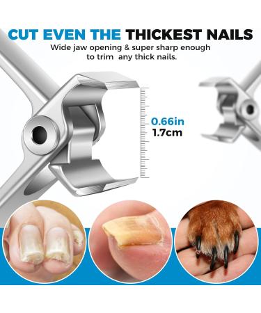 Premium Toenail Clippers for Men & Seniors | No Splash Nail Clippers with Catcher | Wide 17mm Opening for Thick Nails - Mess Free Design - Buy Online on GoSupps.com