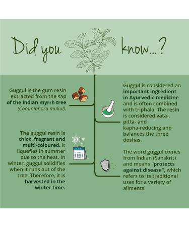 Vegavero Guggul Extract 500mg | 5% Guggulsterones | NO Additives | Lab-Tested | 7500mg Dried Guggul Resin | 120 Guggul Capsules | Vegan - Buy Online on GoSupps.com