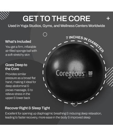 Tune Up Fitness Coregeous Ball for Psoas Release and Lower Back Massage - Graphite - Buy Online on GoSupps.com