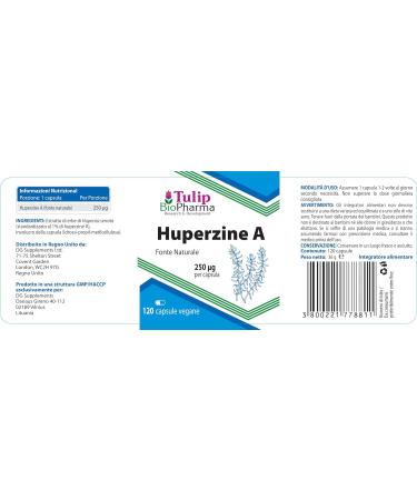 Huperzine A 250mcg 120 Capsules | High Strength Supplement, 3rd Party Lab Tested, Gluten & GMO Free - Buy Online on GoSupps.com