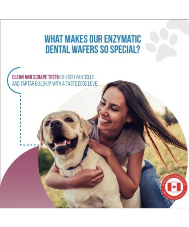 Revive Active - Enzymatic Dental Wafers for Medium-Large Dogs 14ct Prevents Plaque and Tartar Antiseptic Reduces Bacteria Improves Hygiene Oral of your Dog. - Buy Online on GoSupps.com