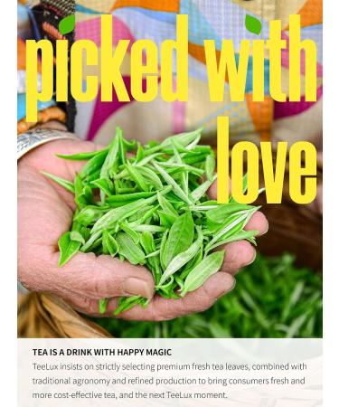 TeeLux Green Tea Bags - Pure Natural Super Antioxidant 100 Count for Overall Health & Wellness - Caffeinated Green Tea - Buy Online on GoSupps.com