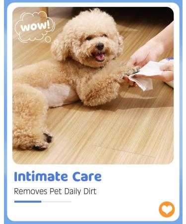 Pawaboo Wet Wipes for Dogs - Hypoallergenic Care Cloths 100 Pieces | Natural Cleaning Towels for Paws Ears and Body - Buy Online on GoSupps.com