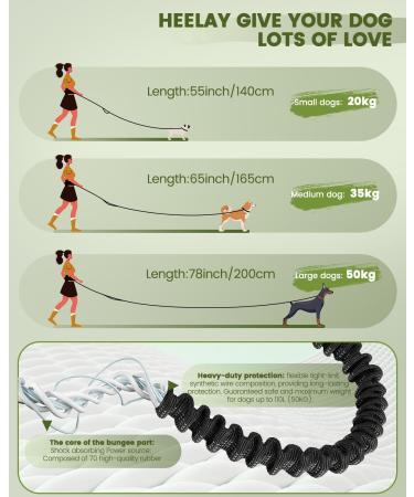 Premium Dog Jogging Lines & Heelay Belt - Reflective Leash for Large & Small Dogs - Comfortable Dual Handle Design in Army Green - Buy Online on GoSupps.com