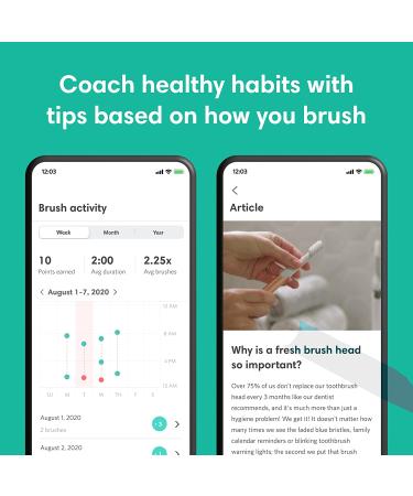 Quip Adult Smart Electric Toothbrush with Bluetooth & Rewards App - Soft Bristles, Timer, Travel Cover & Mirror Mount - All-White - Buy Online on GoSupps.com