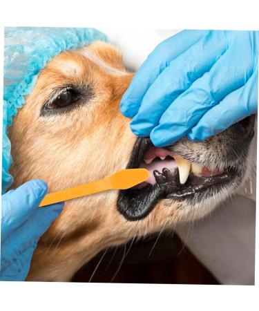 FOMIYES Pet Toothpaste 32 Pcs Double Head Dog Toothbrush Pet Supplies Puppy Toothbrush Cat Pet Oral Toothbrush Handheld Toy - Buy Online on GoSupps.com