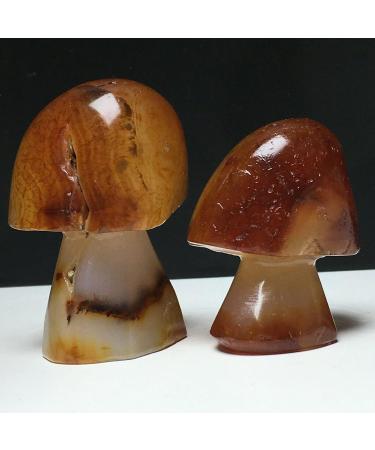 Natural Crystal Rough Stone Natural Agate Crystals raw specimens Hand-Carved Mushrooms Balance Gemstone Decoration - Buy Online on GoSupps.com