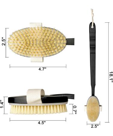 OWIIZI Black Bath Brush - Wooden Curved Long Handle Exfoliating Body Brush with Natural Bristles - 18.1 inch Handle for Back Scrubbing, Wet or Dry - Buy Online on GoSupps.com