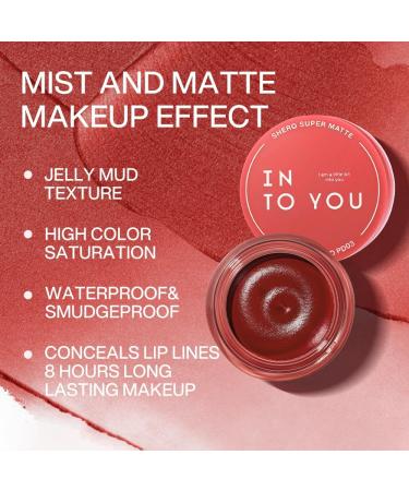  INTO YOU INTO YOU PD03 Long Lasting Matte Liquid Lipstick with Kiss Echter Blush - Buy Online on GoSupps.com