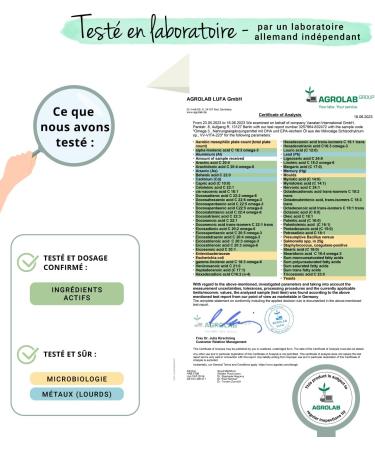 Omega 3 VEGAN | 1500 mg Algae Oil with 450 mg DHA & 225 mg EPA | 90 Capsules | 100% Natural and Without Additives | Brain + Memory | Vegavero  - Buy Online on GoSupps.com