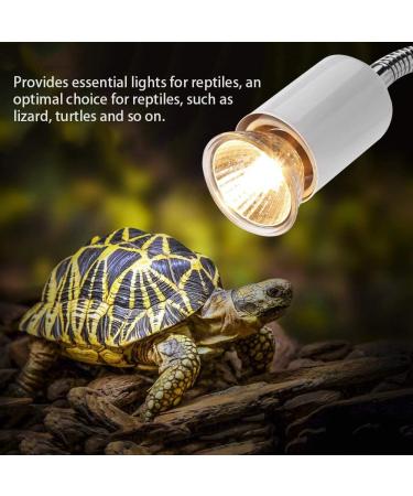 Fdit Gecko Heat Light Heat Lamp Heat Light Bulb Heat Emitter Heating Light Lamp for Small Pet Reptile Lizard Turtle Amphibian 220-240V (25W) - Buy Online on GoSupps.com