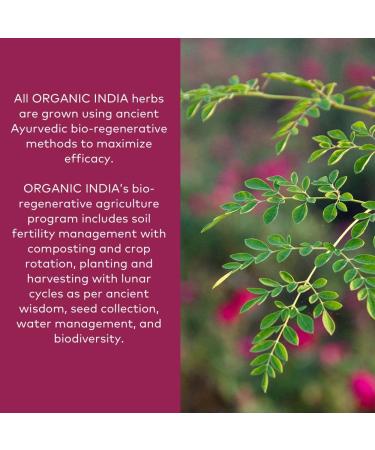 Organic India Triphala Herbal Supplement - 180 Capsules for Digestion, Immune Support, Vegan & Non-GMO - Buy Online on GoSupps.com