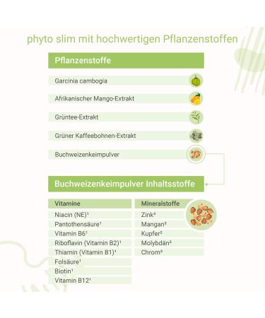 Phyto Slim 90 Capsules | High Bioavailability | Garcinia Cambogia Green Tea & More - Premium Plant-Based Slimming Supplement - Buy Online on GoSupps.com