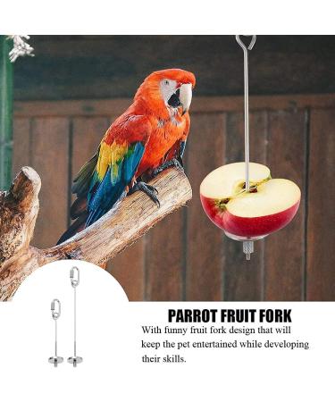 Stainless Steel Parrot Fruit Holder - 2 Pack Vegetable & Fruit Tools for Bird Cages - Buy Online on GoSupps.com