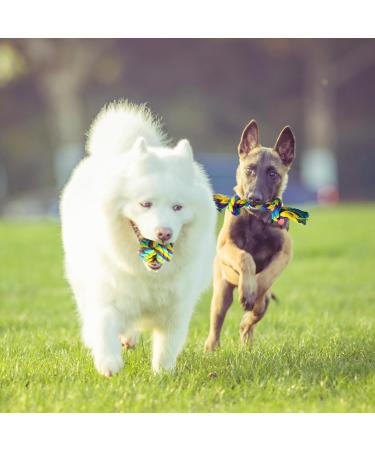 ZENO Dog Toys - Pack of 10 | Rope Chew Toys for Dogs | Strong Rope Ball & Tug for Teething & Training | Puppy Teething Toys | 100% Natural Cotton | Great for Small Medium & Large Puppies & Adults - Buy Online on GoSupps.com