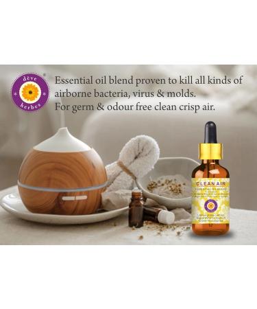 Breathe Fresh Clean Air Essential Oil Blend for Airborne Bacteria Virus Germs & Odour Free Clean Crisp air 50ml (1.69oz) by Deve 1.69 Fl Oz (Pack of 1) - Buy Online on GoSupps.com