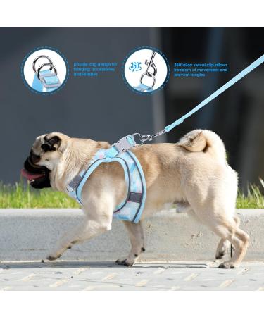 BriFit Cat Dishes with 150cm Leash Break-Safe High-Quality Bowls for Cats & Small Dogs Blue XS - Perfect for Pets 6.61-1lb Shop Now! - Buy Online on GoSupps.com