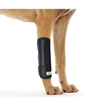 RockPet Dog Front Leg Joint Brace, Therapeutic Hip Bandage for Canines (L/XL)