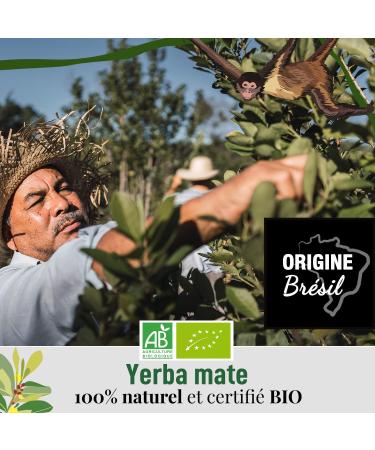 Origeens Organic Yerba Mate Tea with Lemon and Ginger 200g - Le Tonique | Energizing Detox Drink with Organic Unroasted Yerba Mate Leaves | Ginger Lemon Flavor - Buy Online on GoSupps.com