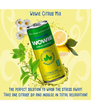 Wowie Hemp Infused Calming Sparkling Beverage Variety Pack 12 oz - Herbal Adaptogens, All Natural, Low Calorie, Non Alcoholic - Pack of 12 - Buy Online on GoSupps.com