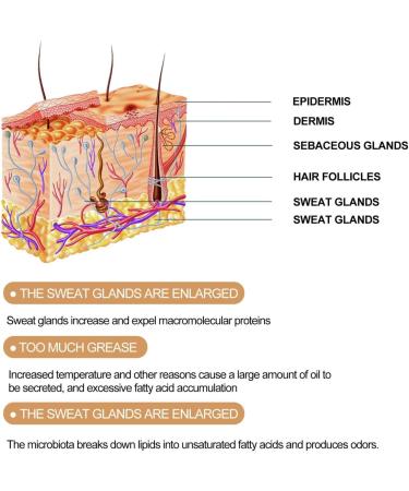 IFFANY Natural Deodorant Cream 30 ML Propolis and Lemongrass Deodorant Cream Anti-Odor Cream for Armpit Care Reduces Sweating and Eliminates Odors - Buy Online on GoSupps.com