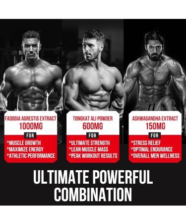 1600mg Fadogia Agrestis Tongkat Ali Supplement Fadogia Agrestis Extract for Men with Ashwagandha - Maximum Strength 120 Softgels 60 Count (Pack of 2) - Buy Online on GoSupps.com