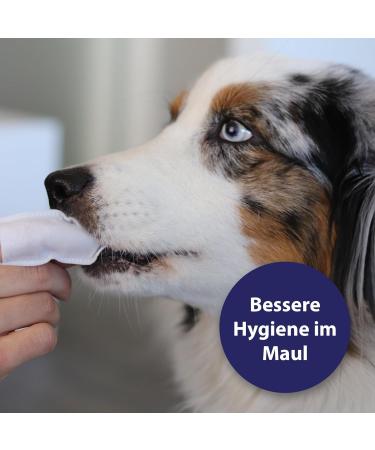 Canosept Dental Care Finger Pads for Dogs - 50 Piece Tartar Remover & Toothbrush - Freshens Bad Breath & Cleans Teeth - Buy Online on GoSupps.com