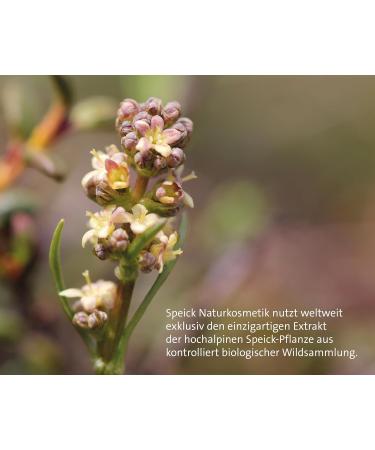 Speick Sun Cream SPF 50 improved formula for children and adults mineral with zinc oxide natural cosmetics face and body vegan and unscented 60 ml - Buy Online on GoSupps.com