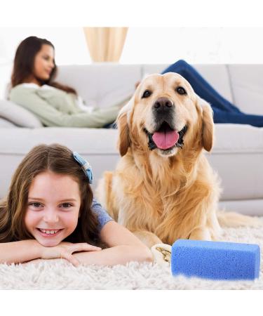 Mudder 6-Piece Pet Hair Remover Set | Pumice Stone Tool for Laundry & Furniture | Reusable & Easy to Clean | Blue | 4 Inch - Buy Online on GoSupps.com