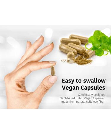 DR WAKDE's Pippali Capsules (Long Pepper) 60 Veg Caps Plant-based Supplement Made in UK Vegan All Natural Same Day Dispatch - Buy Online on GoSupps.com