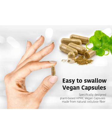 DR WAKDE'S Safed Musli Capsules (Chlorophytum borivilianum 60 Veg Caps Plant-Based Supplement Ayurvedic Herb All Natural Vegan) - Buy Online on GoSupps.com