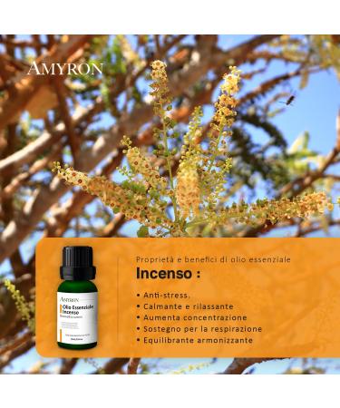 100% Pure Essential Frankincense Oil (15ml) - Ideal for Aromatherapy Diffusers & Massages - Natural Frankincense Amyron - Buy Online on GoSupps.com