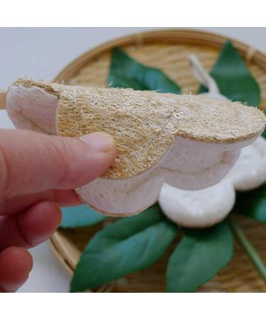 Loofah Dish Sponge - Portable Double-Sided Compostable Sponges | Reusable Dish Sponge Dish Scrubbing Sponges Kitchen Dish Towel for Cleaning Dishes Flowers - Buy Online on GoSupps.com