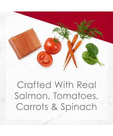 Purina Fancy Feast Medleys Salmon Primavera Wet Cat Food - 24 Pack, 3 oz Cans - Buy Online on GoSupps.com