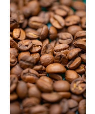 Buzzbox Coffee Beans 250g AWARD WINNING - Morning Glory Blend of two Medium Roast Speciality Single Origin whole Coffee Beans from Africa & South American Morning Glory Blend 250 g (Pack of 1) - Buy Online on GoSupps.com