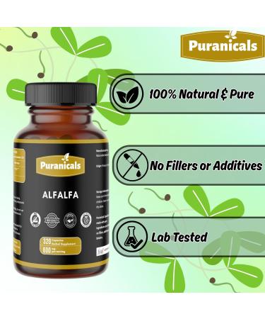 Puranicals Alfalfa Capsules - 320 Capsules | 100% Pure & Natural | Rich in Vitamins & Minerals | Supports Detox & Wellbeing | Non-GMO Gluten-Free Herbal Supplement | 600mg per Serving - Buy Online on GoSupps.com
