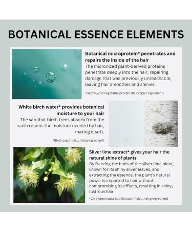 Botanist Japanese Organic Shampoo for Damaged Hair - Sulfate & Silicone Free | 490 mL Repairing Hair Care for Men & Women - Buy Online on GoSupps.com