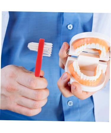 Tovinanna 4-Piece Travel Prosthesis Cleaning Brush Set - Ideal for Dentures & Toothbrushes - International Shipping Available - Buy Online on GoSupps.com