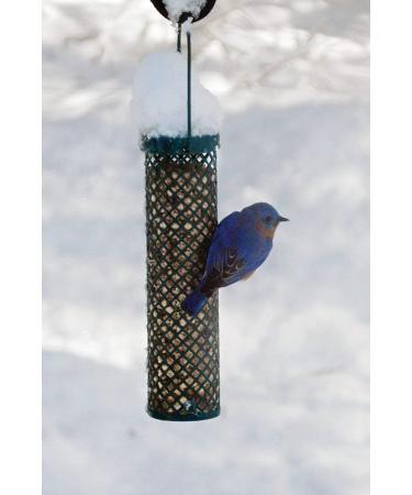Buy C&S Wild Bird Food Nuggets - 27 Oz, 6 Pack | Premium Bird Feed for Your Feathered Friends - Buy Online on GoSupps.com