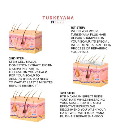 Natural Clinical Hair Growth Shampoo & Conditioner Set | Biotin Regrowth | Anti-Thinning Formula for Men and Women | 240ml - Buy Online on GoSupps.com