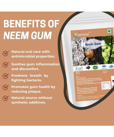 Neotea Natural Neem Gum 200GM (7.05 OZ) | Edible Herbal Resin | Raw & Natural | Cooling Summer Ingredient for Drinks & Wellness - Buy Online on GoSupps.com