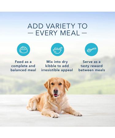 Blue Buffalo Blue's Stew Grain-Free Beef Wet Dog Food 12.5 oz Can (Pack of 12) - Buy Online on GoSupps.com