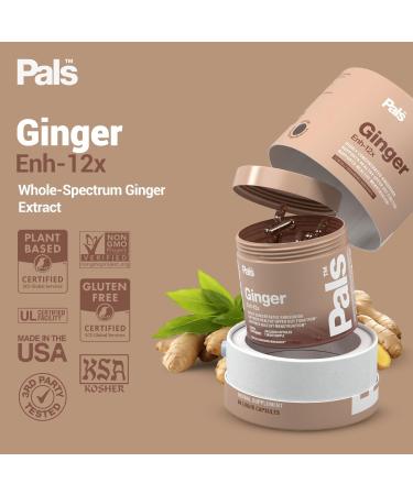 Pure Ginger Root Capsules Enh-12x: Ultra Potent 26% Gingeroids Extract Vegan Ginger Supplements for Nausea Bloating & Menstrual Cramps Natural No Fillers Non-GMO (30 Days) - Buy Online on GoSupps.com